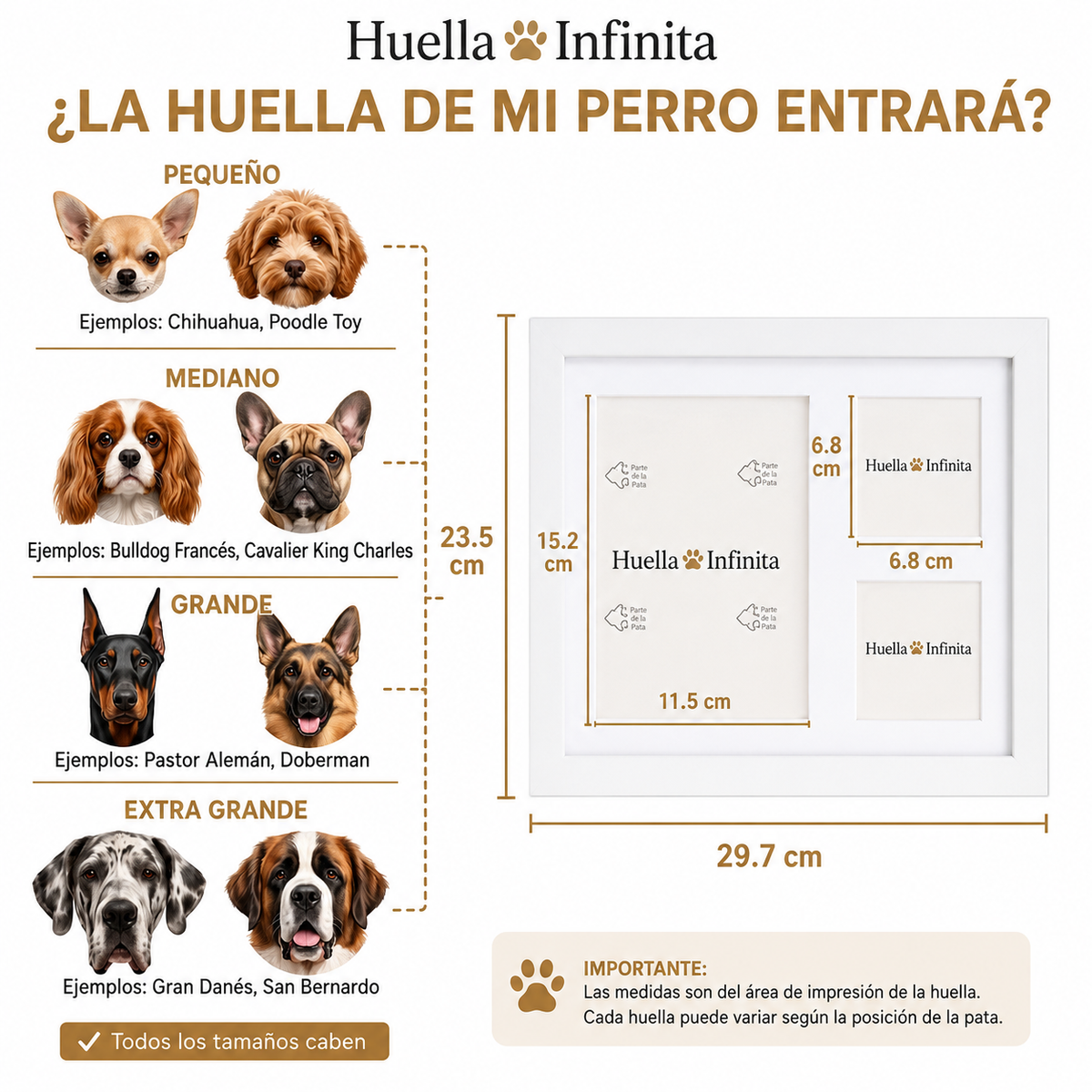 Huella Infinita — Su patita en arcilla, para siempre
